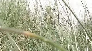 Round ass blonde teasing on the beach