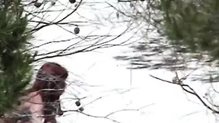 Redhead beauty dildoing pussy on the sandy beach