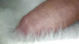 young colombian porn with very big penis