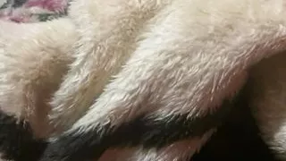 Erotic fluidity: The triggers evolve, change, revert all as cock desires