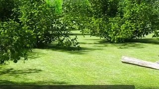 Helping the hotties #11 - Johannes watched the photo and videos that Kiara have send him ... Eve had a meeting with the ladies .