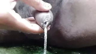 Nasty and ugly cock pissing in bathroom