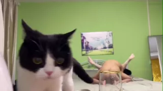 Bitchy Brunette Amateur Having Hardcore Sex On Camera