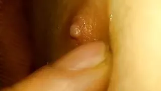 Cincona foliops nippila