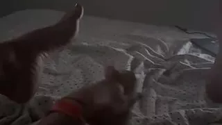 Having fun with my dildo