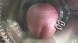 my cum out of my cock