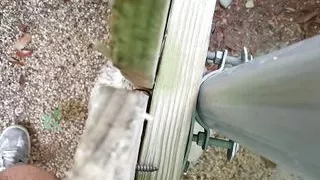 Guy Next Door Long Piss Outdoors