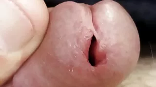 Under the magnifying glass, with a particularly zoomed-in version