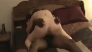 Cuckolding Girl Riding Bbcs