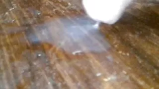 young colombian porn with big penis full of milk