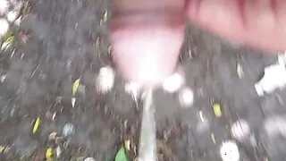 Pissing in the park and cock massage