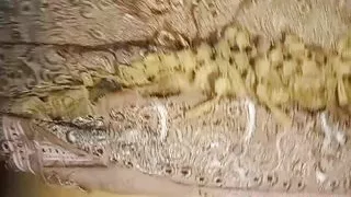 Why bate did you take stepdad,s viagra big ass fucking, big tit stepmom helps stepson to cumshot video - hindi audio