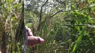 Vacation: pissing in the cold wind, frozen treats