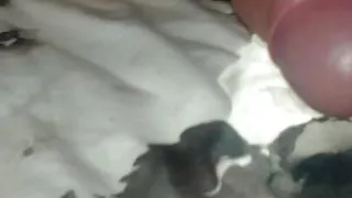 young colombian porn with very big penis