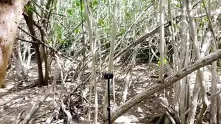 18 Years Old Teenage Slut Gets Used and Fucked Hardcore in the...up and Fucked, Hardcore Fucking a Teenage 18 Years Old Slut.