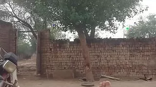 XXX XXX fj fj dock CJK