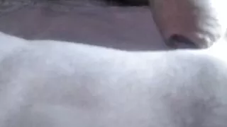 young colombian porn with very big penis