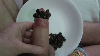 Squirrel Hoarding with Coffee Beans into my Uncut dick then cumming on my leg