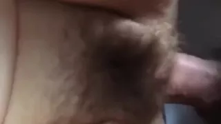 Pute Algerienne Poilue