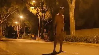 wild piss in the middle of the street.