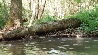 Fuckndrive -The Quad Adventure