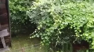 When is raining This what I do in my garden house