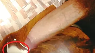 Amateursex, Analsex, Bar, Blowjob, Hentaisex, Koreanischer Sex, Penis