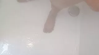 what beautiful lady wants to wash my back and empty my little friend