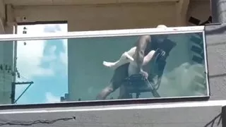 employee was caught having sex with boss in broad daylight so he can raise her salary