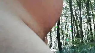Walk in the forest with an emty dick