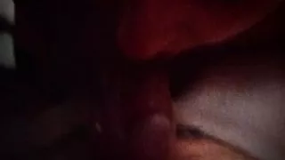 My husband's Beautiful Tail