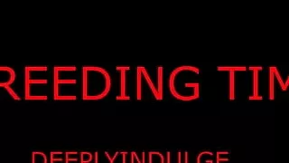 Breeding Time For Your Tight Pussy Daddy Dominates And Breeds You Hard And Rough