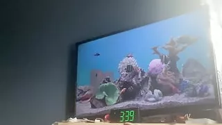 Whimpering While Stroking My Huge Cock