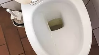 Pee on Toilet