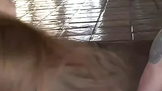 Big Tits Blonde Abby Rode Gets Her Shaved Pussy Fucked