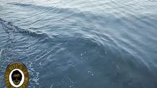 Colombian Hangover Giveaway! Stay Tuned