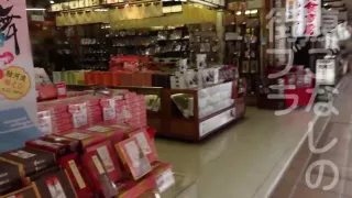 0002780_Japanese_Censored_MGS_19min