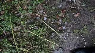 Shy guy at cruising place and could not resist my dick