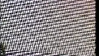 Black babe and dude have hardcore fuck on the carpet