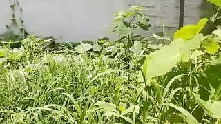 Kamre mein jakar larki ko maalis krte hue dekha fir self lund maalis kiya