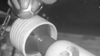 Made to cum in chastity cage restrained on the milking table