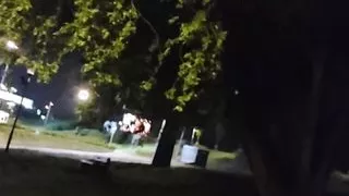 Risky park jerking (fooling around with my dick out in public, no cumshot)