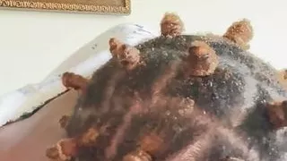 Nerdy Ebony Enjoys Sucking!