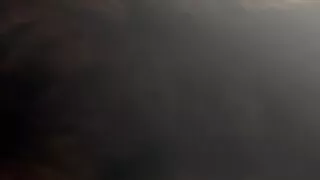 Raccoon fur coat stroke