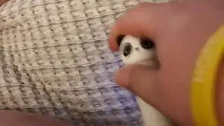 Tight little wet pussy