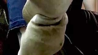 Smell My Dirty Feet & Worn Socks