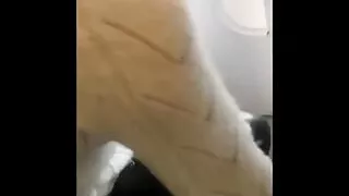 When You Have a Crazy Husband and You Realize That You Are Complicit in Everything.