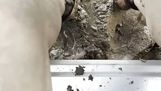 gay slave gettings his legs in the mud