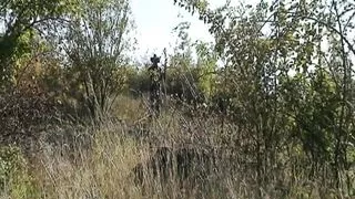 A slim blonde teen gets punished by a thick cock outdoors