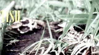 Asher Quinn: Your New Fetish